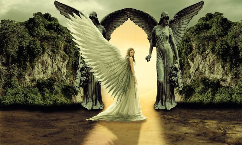 Harmony Havens
